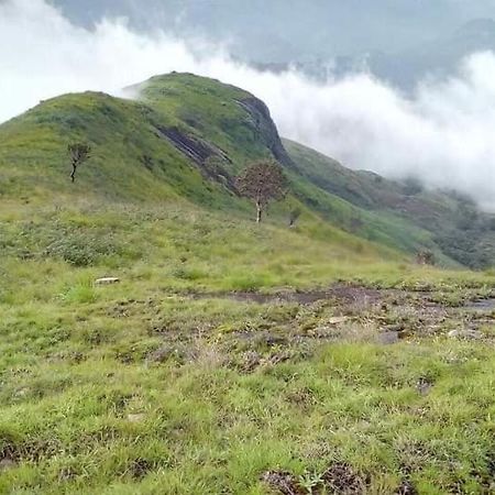 Jungle Retreat Natural Stay Kombaikadu 코다이카날 외부 사진