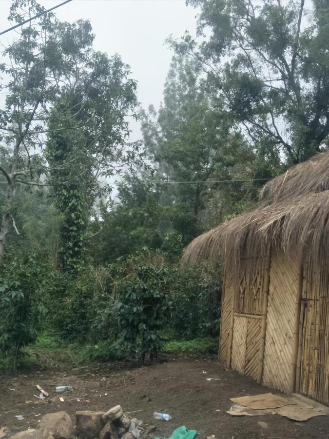 Jungle Retreat Natural Stay Kombaikadu 코다이카날 외부 사진