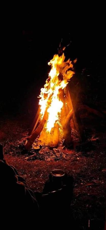 Jungle Retreat Natural Stay Kombaikadu 코다이카날 외부 사진